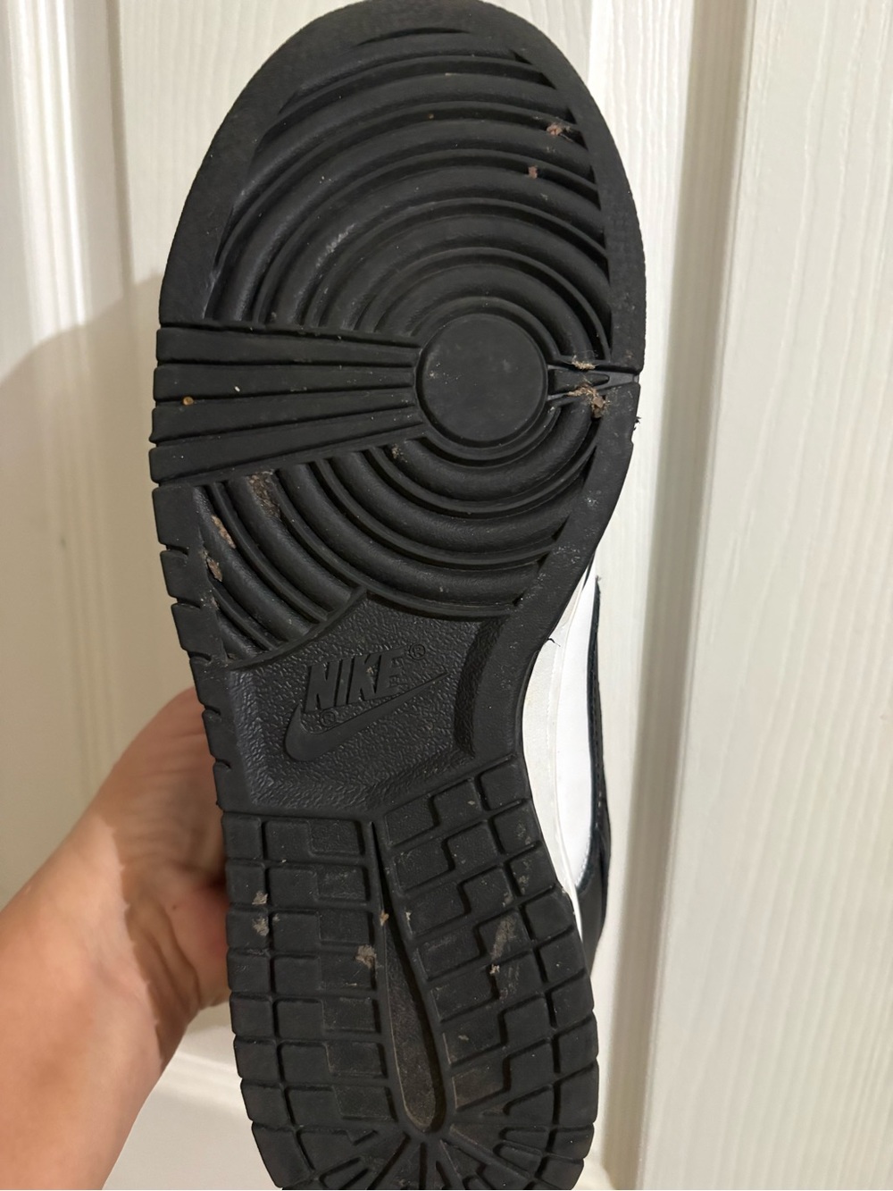 Nike Men’s Dunk Shoes Black and White
